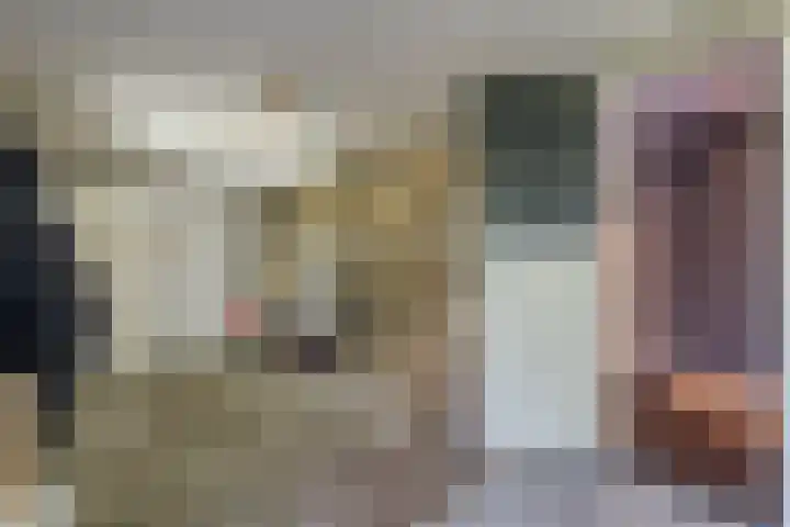 Wijngaard 27 Lelystad thumbnail 27