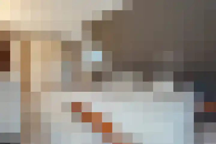 Wijngaard 27 Lelystad thumbnail 31