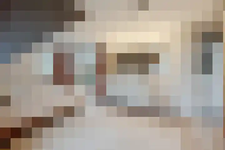 Wijngaard 27 Lelystad thumbnail 33