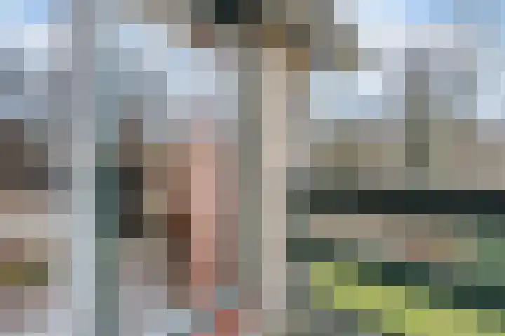 Wijngaard 27 Lelystad thumbnail 34