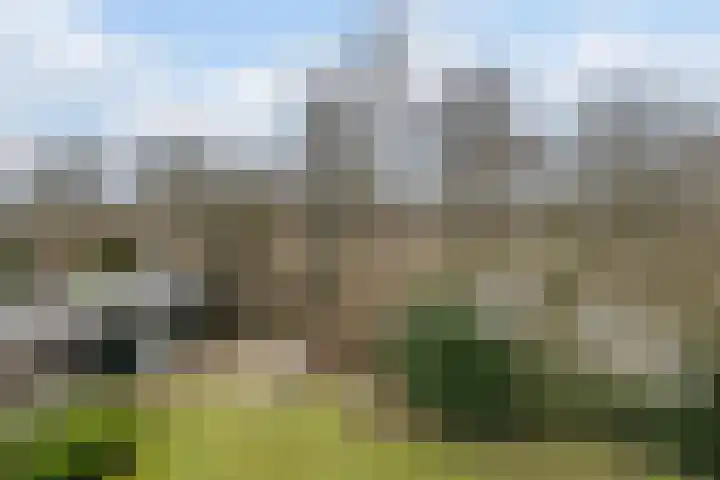 Wijngaard 27 Lelystad thumbnail 35