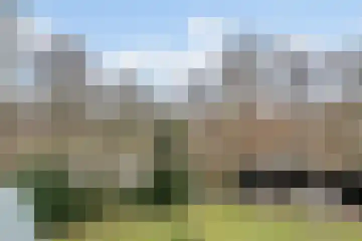 Wijngaard 27 Lelystad thumbnail 36