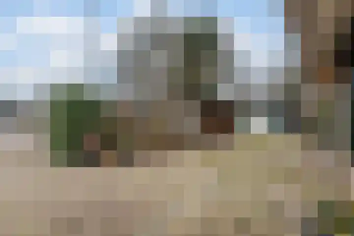 Wijngaard 27 Lelystad thumbnail 49