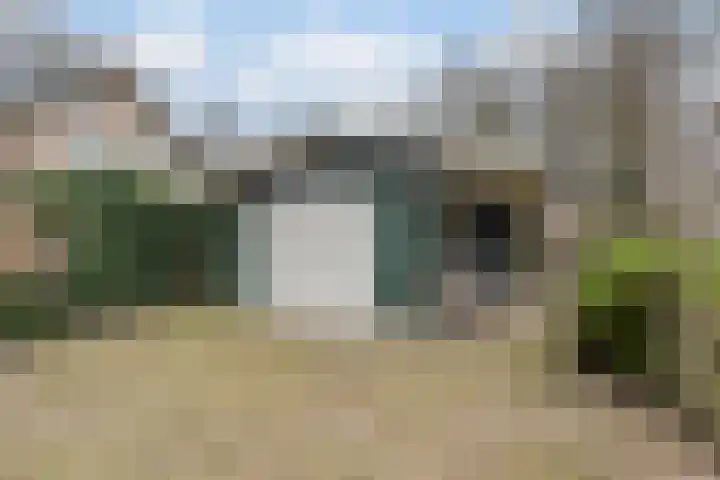 Wijngaard 27 Lelystad thumbnail 50