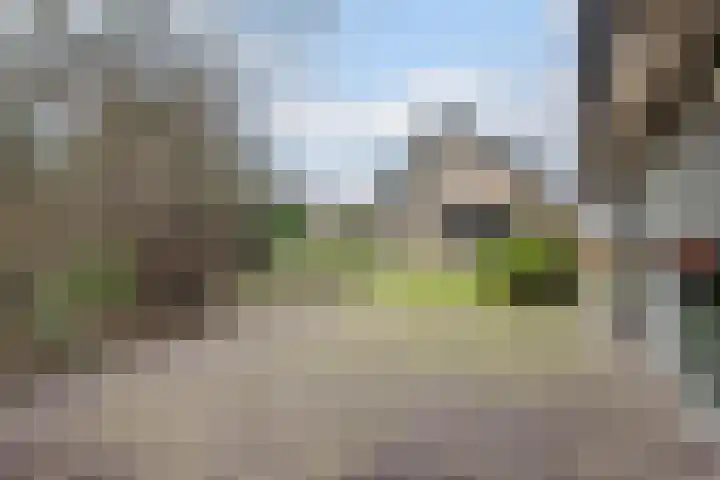 Wijngaard 27 Lelystad thumbnail 52