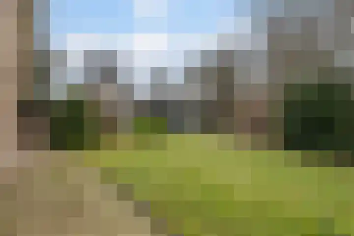 Wijngaard 27 Lelystad thumbnail 53