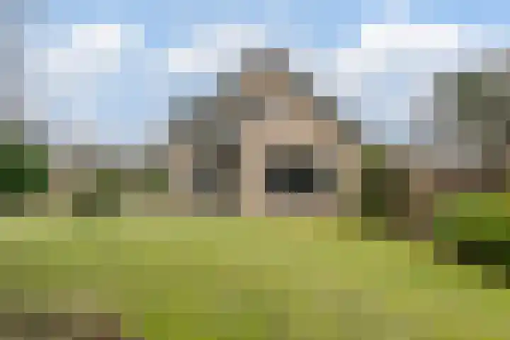 Wijngaard 27 Lelystad thumbnail 57