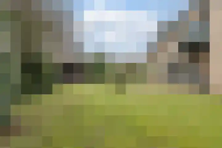 Wijngaard 27 Lelystad thumbnail 58