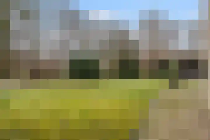 Wijngaard 27 Lelystad thumbnail 59