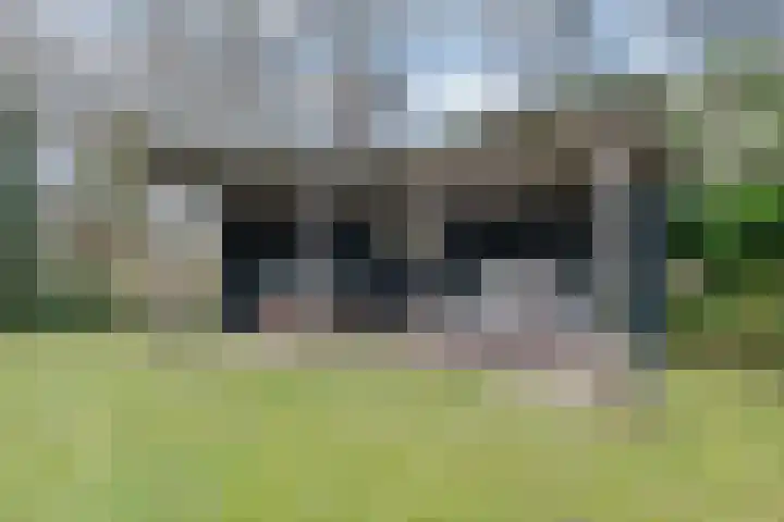 Wijngaard 27 Lelystad thumbnail 61