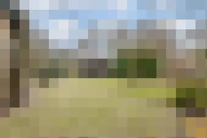 Wijngaard 27 Lelystad thumbnail 64