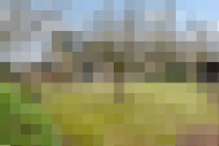 Wijngaard 27 Lelystad thumbnail 65