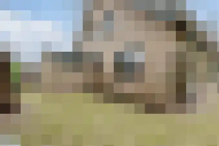 Wijngaard 27 Lelystad thumbnail 67