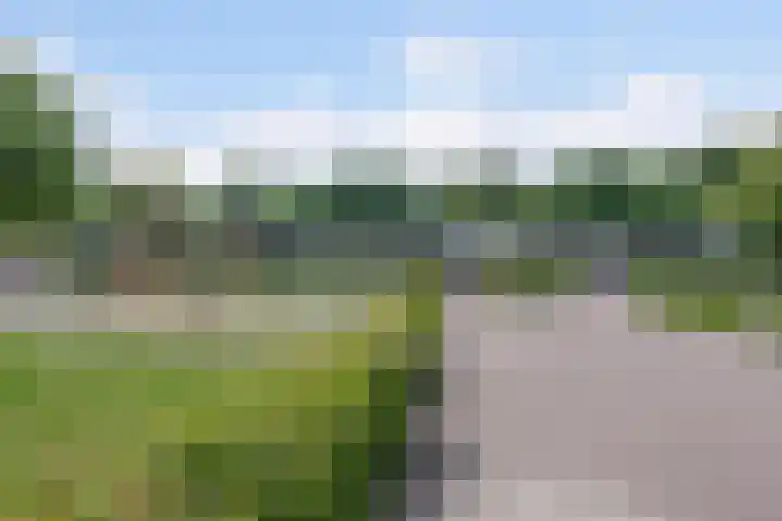 Wijngaard 27 Lelystad thumbnail 70