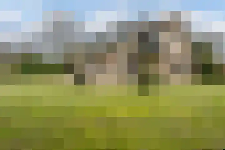 Wijngaard 27 Lelystad thumbnail 9