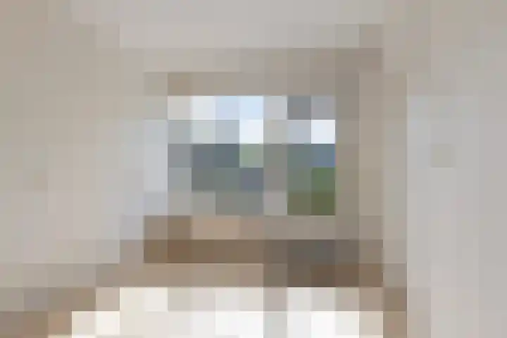 Wijngaard 3 Zevenbergen thumbnail 10