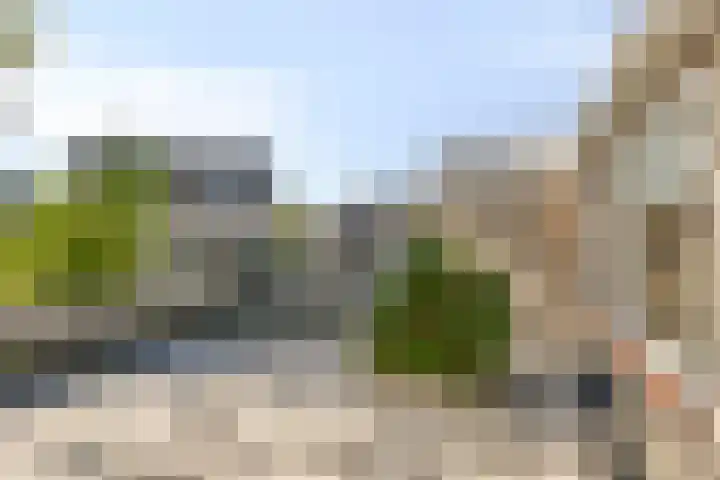 Wijngaard 3 Zevenbergen thumbnail 16