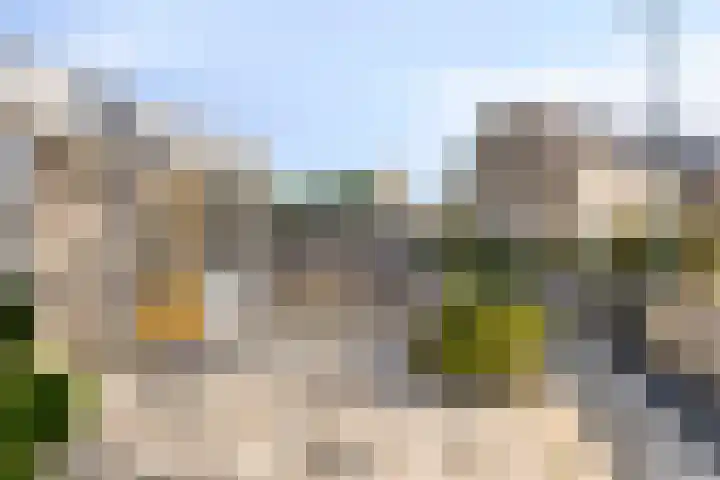 Wijngaard 3 Zevenbergen thumbnail 17