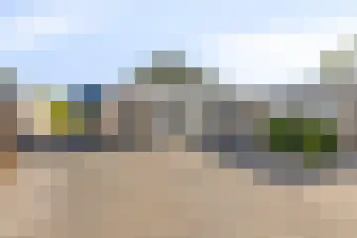 Wijngaard 3 Zevenbergen thumbnail 18