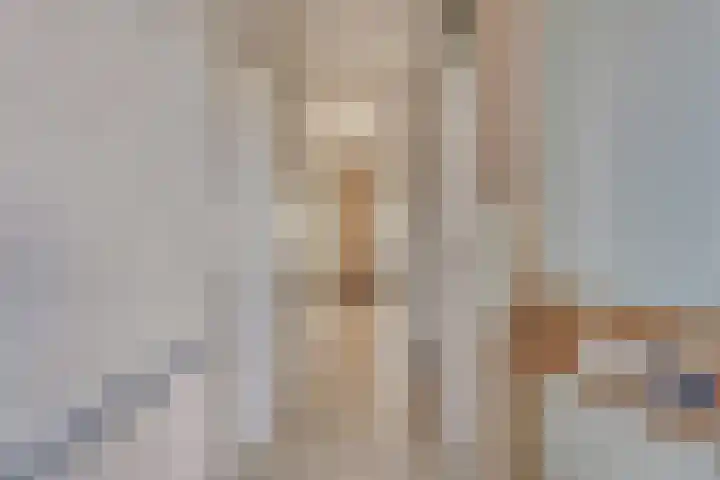 Wijngaard 3 Zevenbergen thumbnail 4