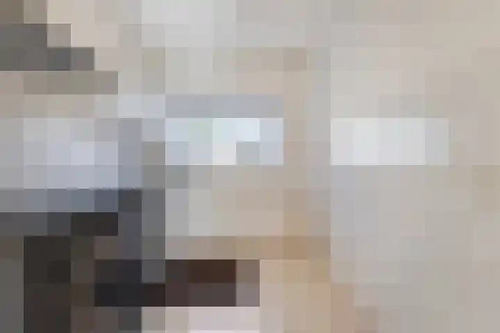 Wijngaard 3 Zevenbergen thumbnail 8