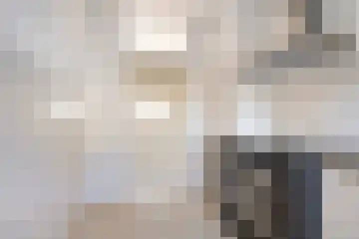 Wijngaard 3 Zevenbergen thumbnail 9