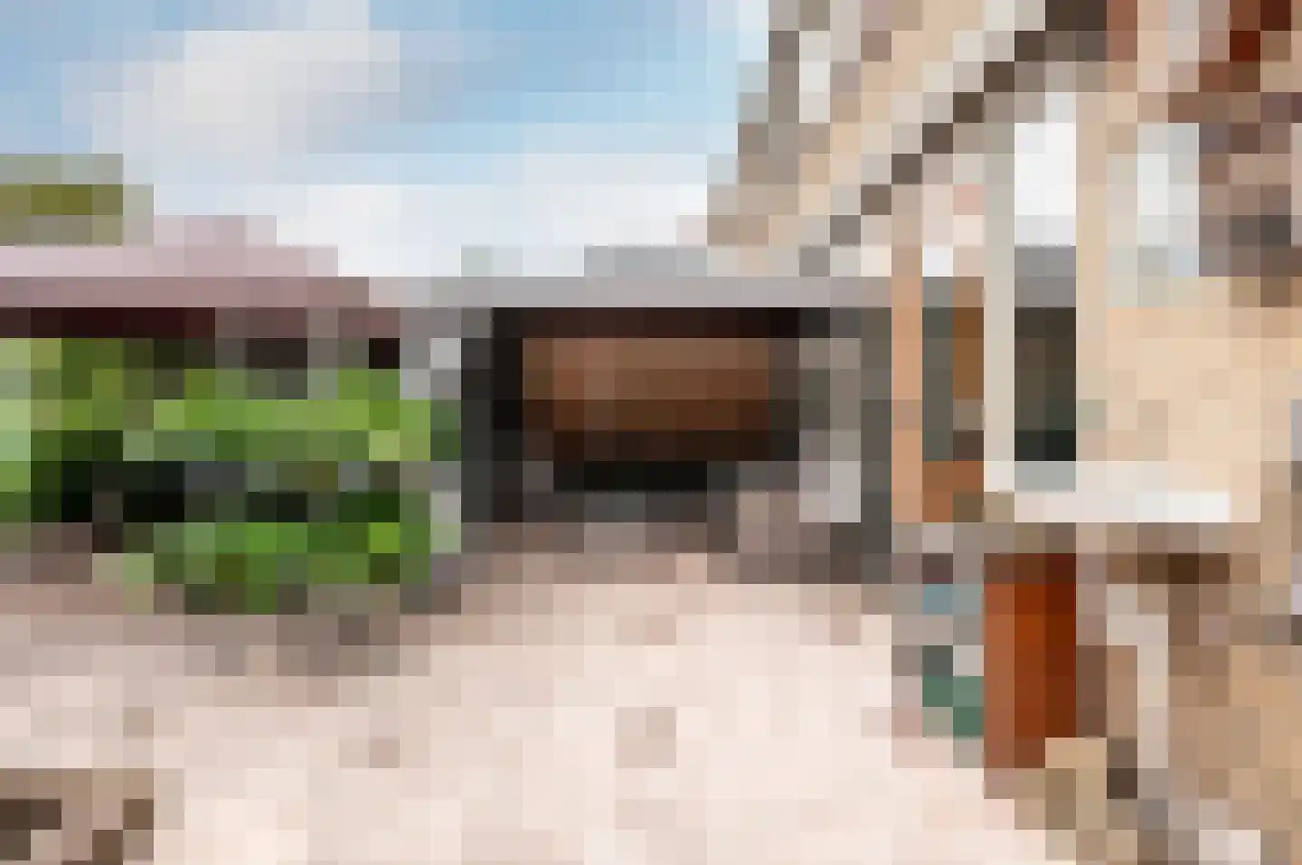 Wijngaard 32 Lelystad thumbnail 35