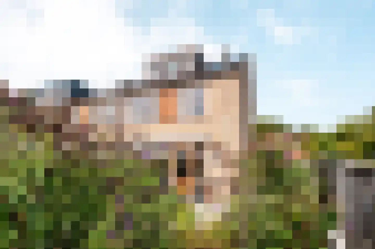 Wijngaard 32 Lelystad thumbnail 40