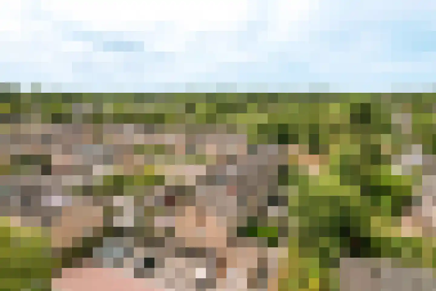 Wijngaard 32 Lelystad thumbnail 47