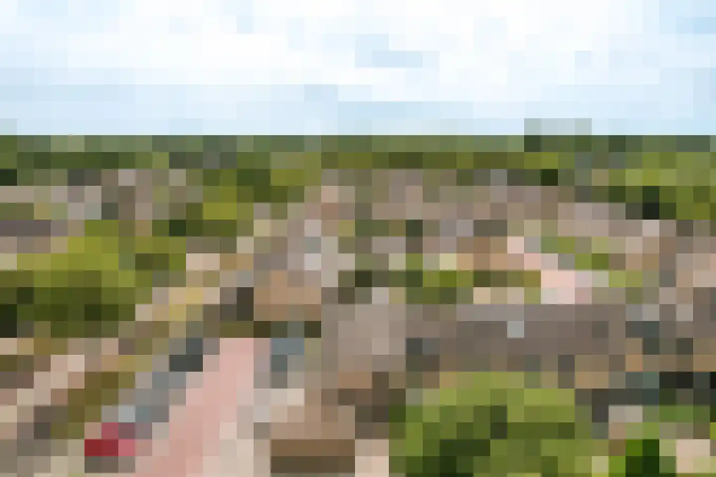 Wijngaard 32 Lelystad thumbnail 50