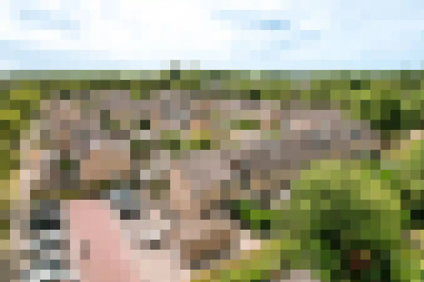 Wijngaard 32 Lelystad thumbnail 51