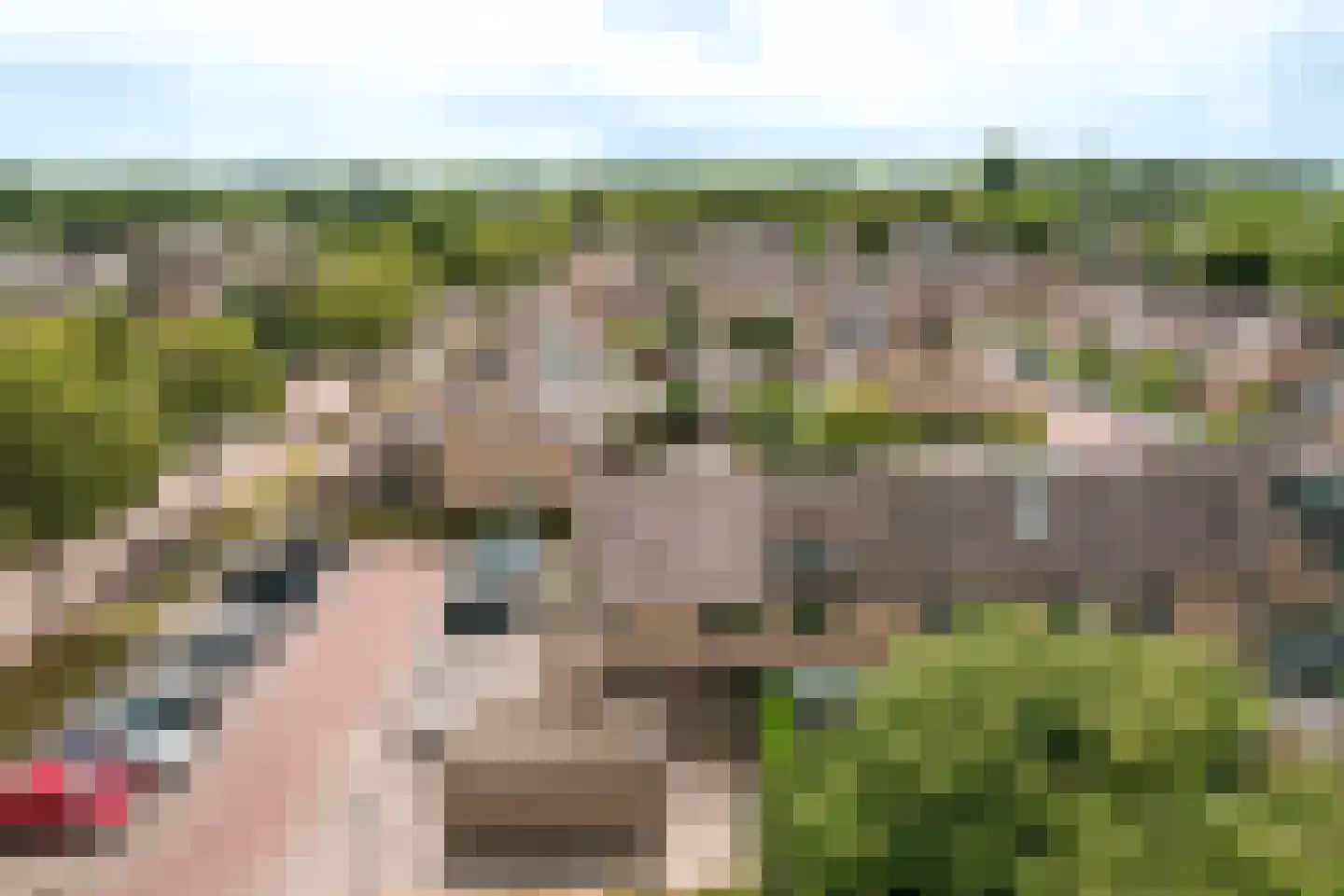 Wijngaard 32 Lelystad thumbnail 52