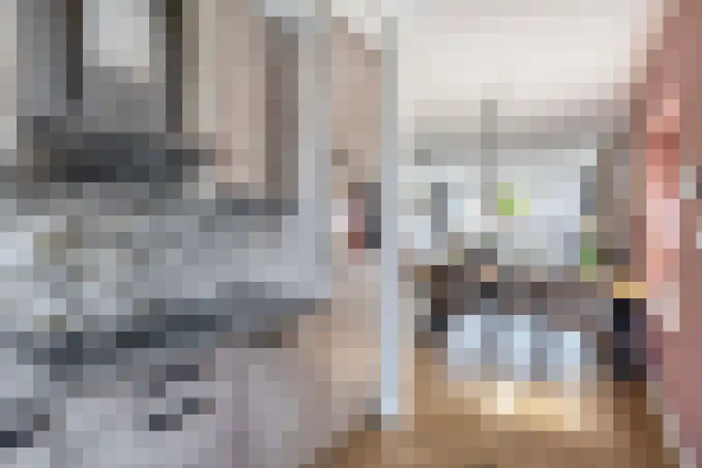 Wijngaard 35 Spijkenisse thumbnail 23