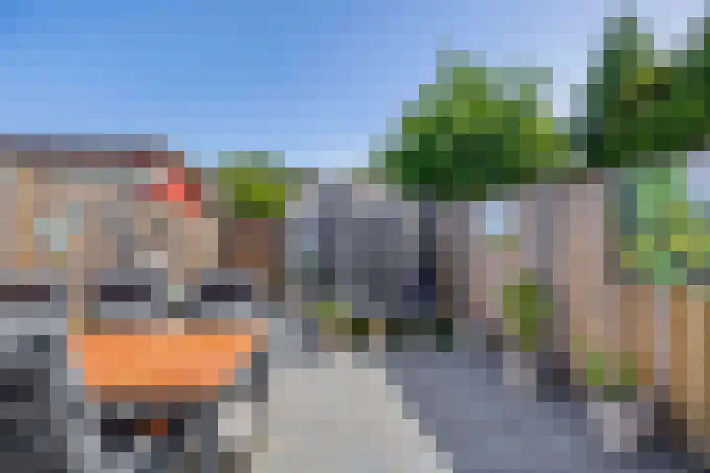 Wijngaard 35 Spijkenisse thumbnail 25