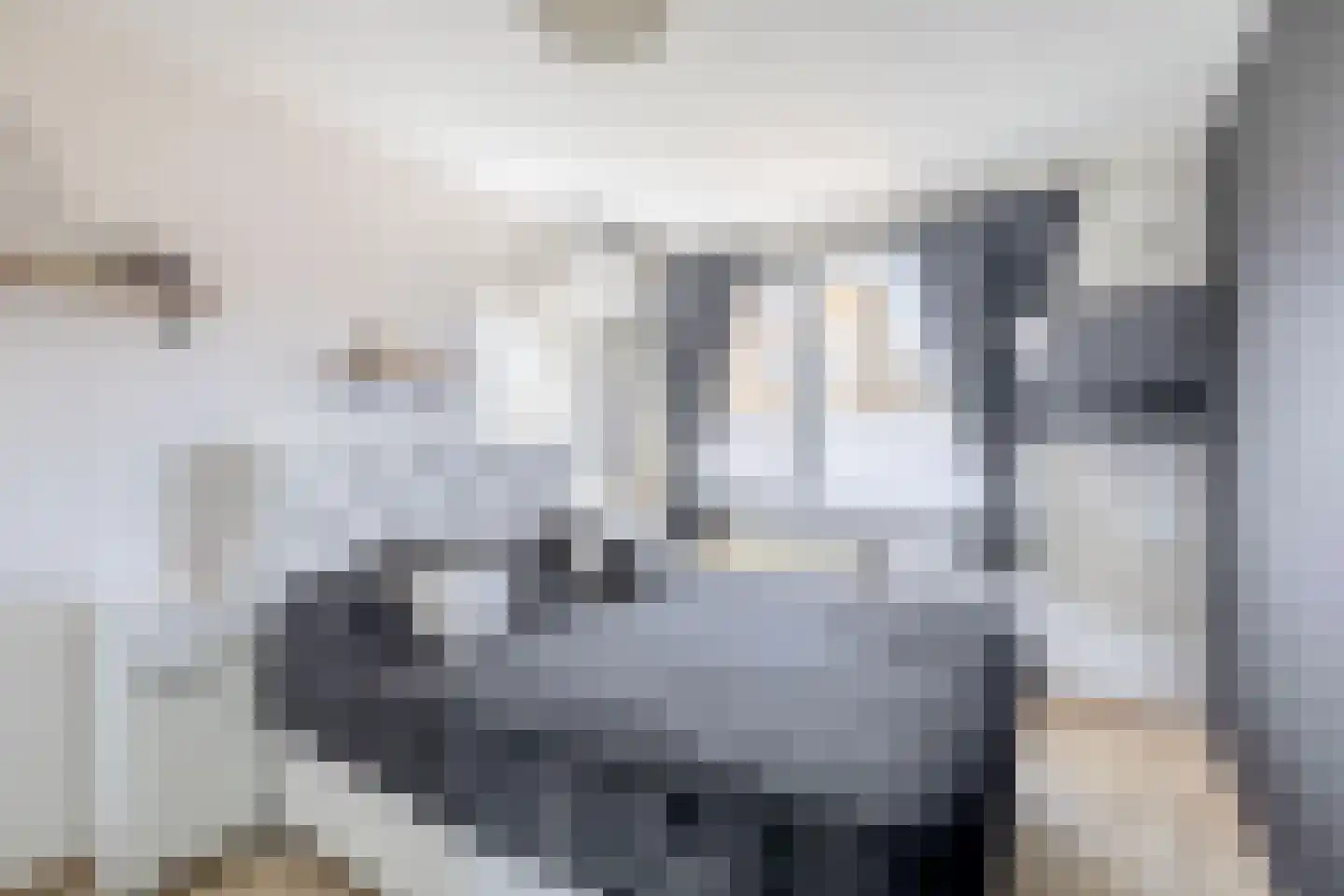 Wijngaard 35 Spijkenisse thumbnail 29