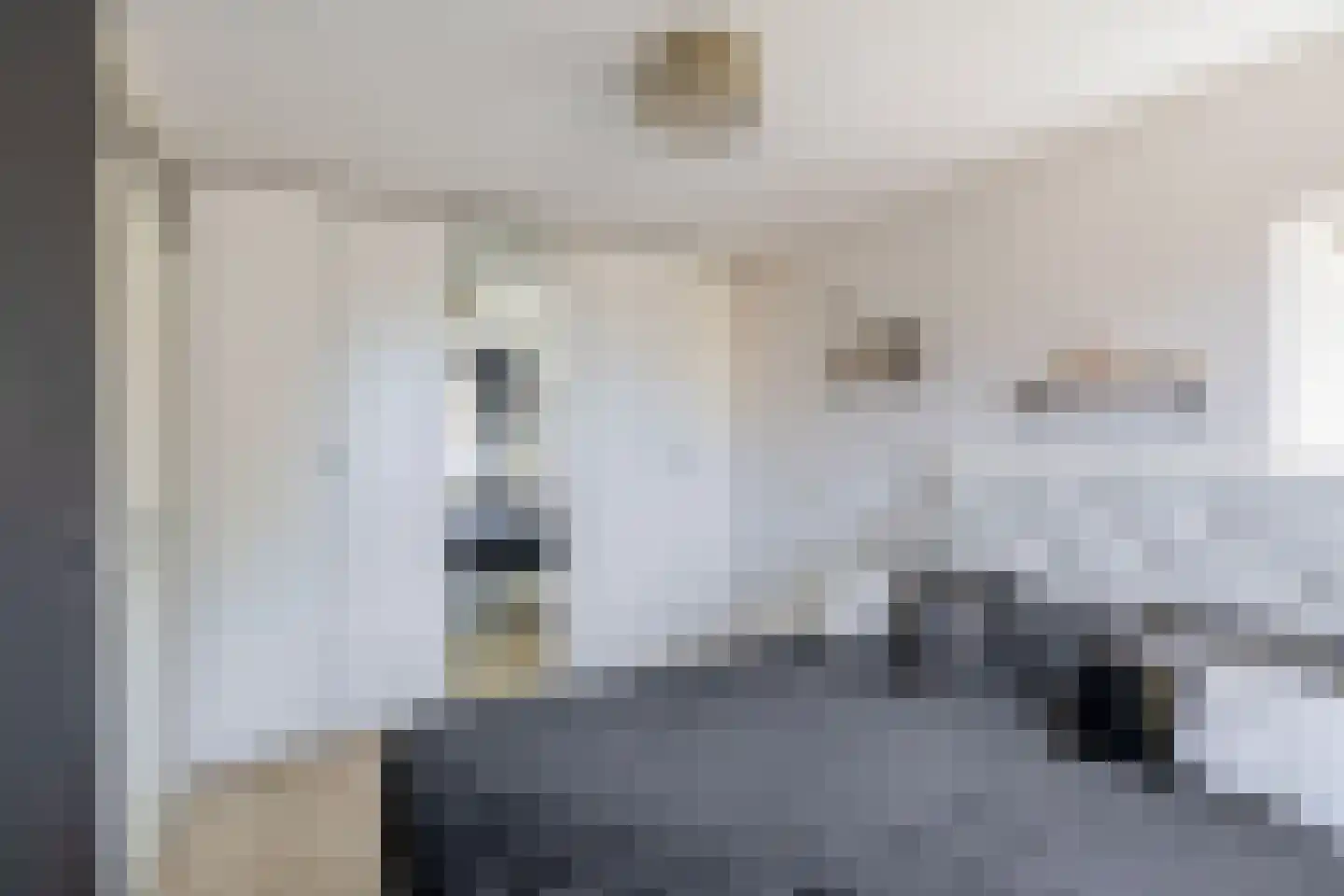 Wijngaard 35 Spijkenisse thumbnail 30