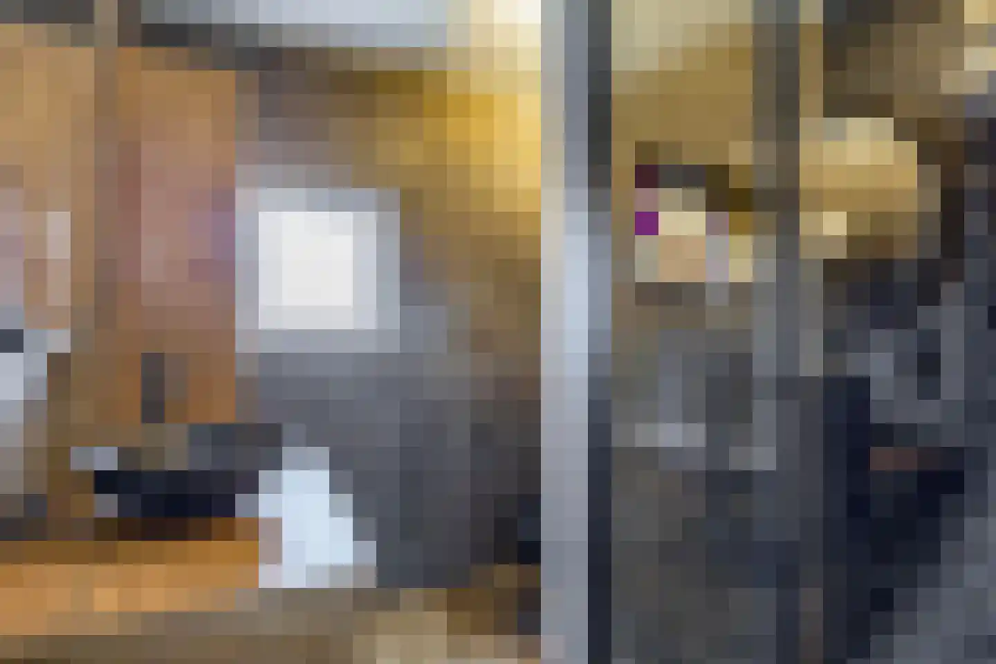 Wijngaard 35 Spijkenisse thumbnail 31
