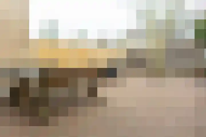 Wijngaard 43 Lelystad thumbnail 32