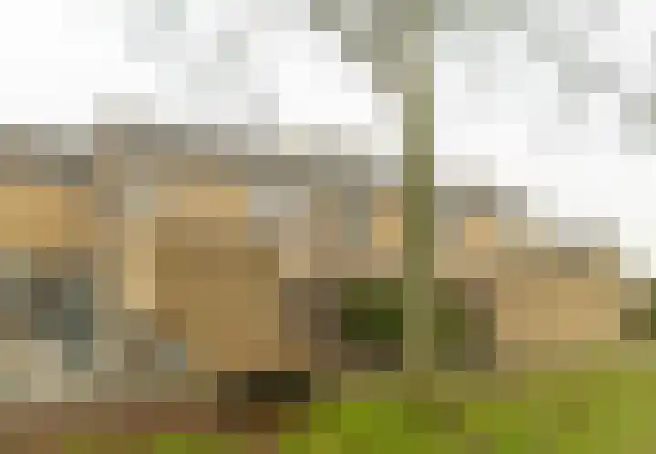 Wijngaard 43 Lelystad thumbnail 41