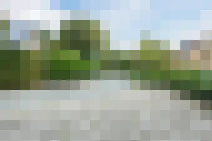 Wijngaard 44 Lelystad thumbnail 48