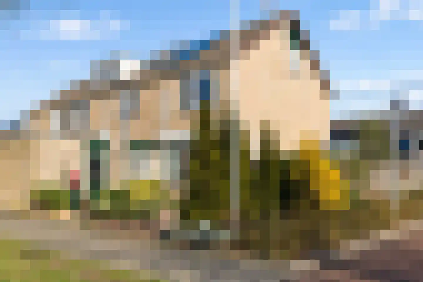 Wijngaard 45 Lelystad thumbnail 33