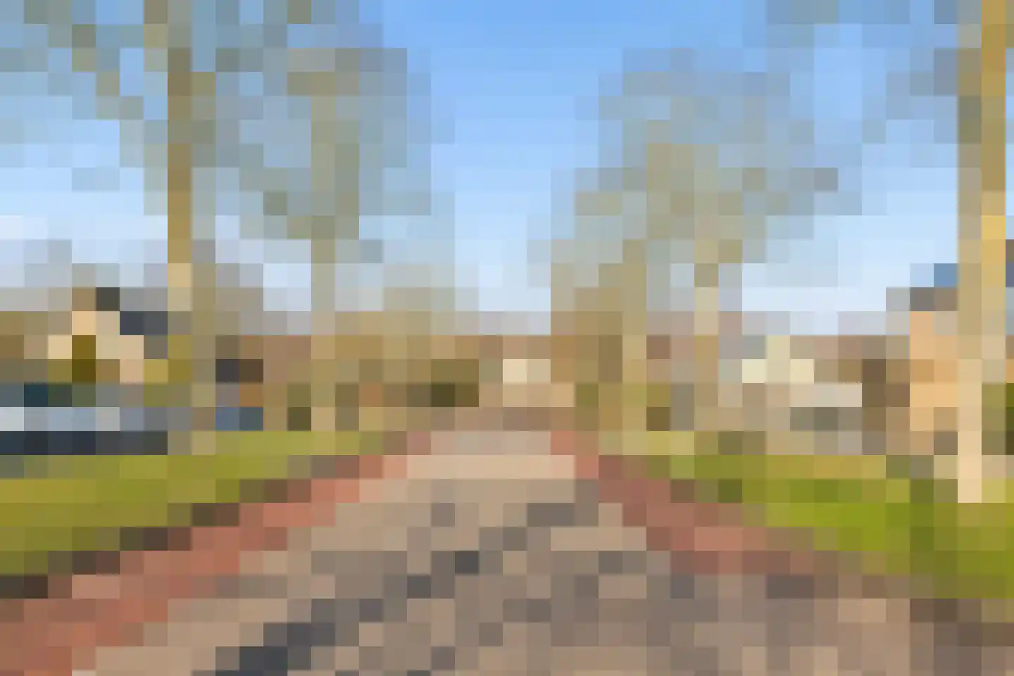 Wijngaard 45 Lelystad thumbnail 34