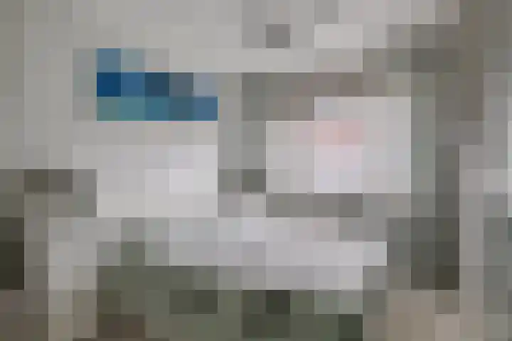 Wijngaard 48 Spijkenisse thumbnail 11
