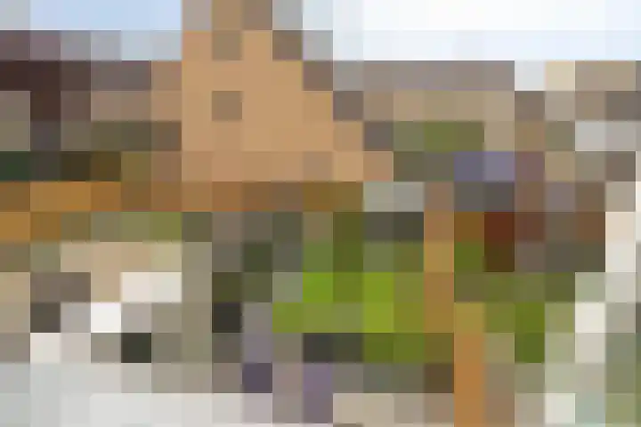 Wijngaard 48 Spijkenisse thumbnail 19