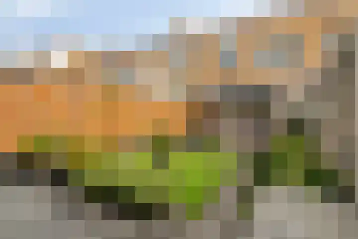 Wijngaard 48 Spijkenisse thumbnail 20