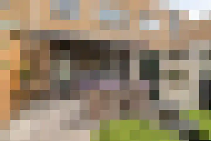 Wijngaard 48 Spijkenisse thumbnail 21