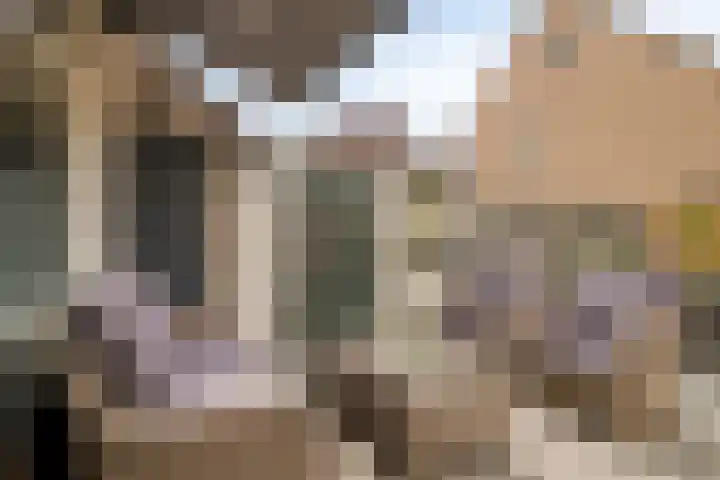 Wijngaard 48 Spijkenisse thumbnail 22