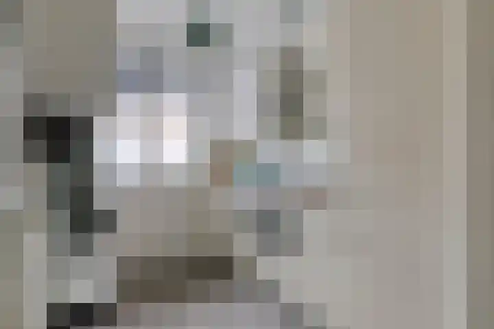 Wijngaard 48 Spijkenisse thumbnail 5