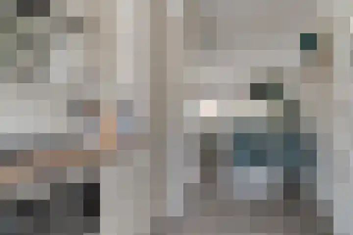 Wijngaard 48 Spijkenisse thumbnail 7
