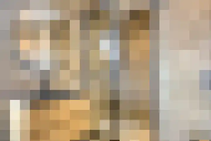 Wijngaard 67 Dronten thumbnail 33